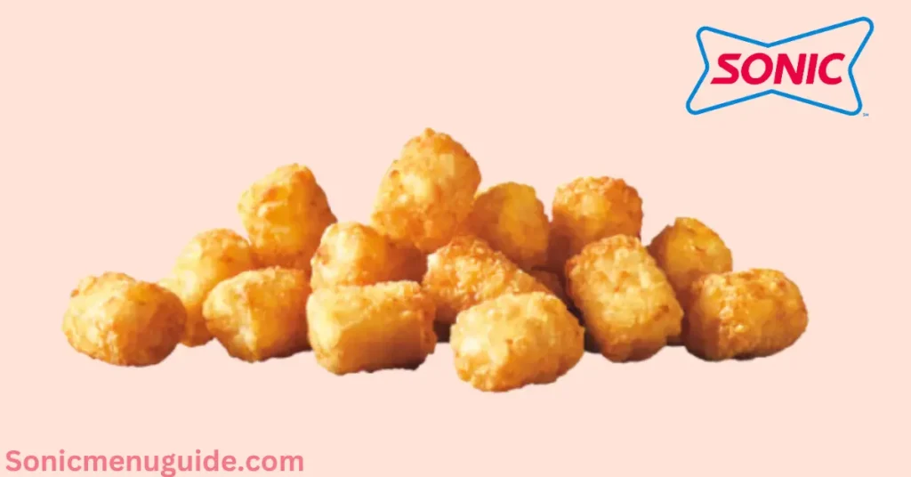 Sonic vegan option tator tots