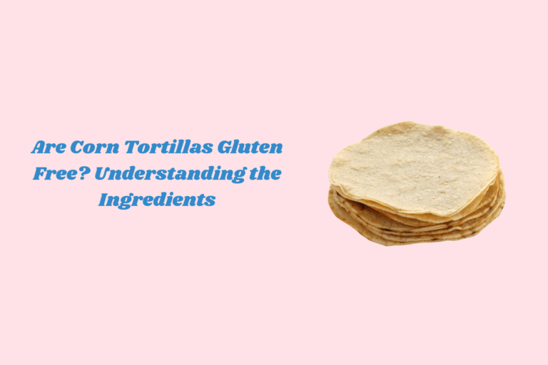 Corn Tortillas Gluten Free